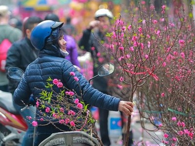 (Ảnh minh họa: PV/Vietnam+)