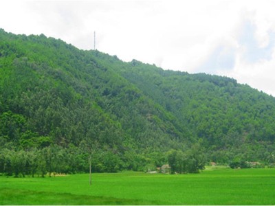 Quang cảnh khu vực Tây Nam núi Linh Trường, huyện Hoằng Hóa.