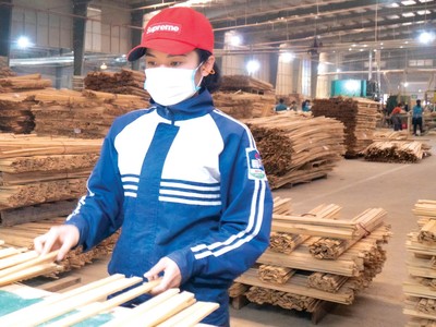 Xưởng chế biến tre của Công ty BWG Mai Châu.