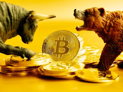 Giá Bitcoin hôm nay ngày 11/2: Phe bò và gấu giao tranh quyết liệt 