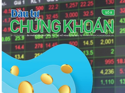Đầu tư Chứng khoán số 8/2022