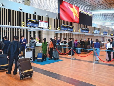 Các hãng hàng không đang khôi phục lại đường bay trong nước và quốc tế.