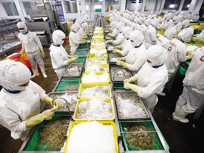 Doanh nghiệp thủy sản được khuyến cáo không chuẩn bị quá nhiều hàng hóa lưu kho theo quy cách của thị trường Nga.