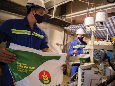 Ngay khi có dấu hiệu xung đột leo cao, giá cổ phiếu DCM đã tăng từ 30.000 đồng/cổ phần lên gần 40.000 đồng/cổ phần.