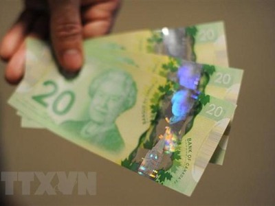 Đồng đôla Canada. (Ảnh: AFP/TTXVN).
