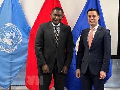 Đại sứ Đặng Hoàng Giang và Trợ lý Tổng thư ký Liên hợp quốc Selwin Chalres Hart. (Ảnh: Khắc Hiếu/TTXVN).