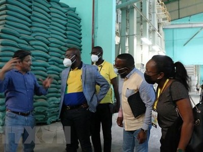 Chủ doanh nghiệp Công Thành Út Hạnh trao đổi cùng Đoàn Bộ Thương mại nước Cộng hòa Gabon. (Ảnh: Thanh Bình/TTXVN).