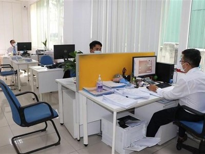 Ảnh minh họa. (Ảnh: Đức Hạnh/TTXVN).