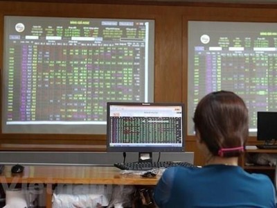 Ảnh minh họa. (Nguồn: Vietnam+).