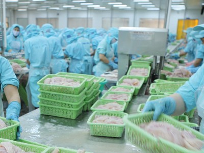 Ngành thủy sản đang đứng trước cơ hội lớn từ thị trường.