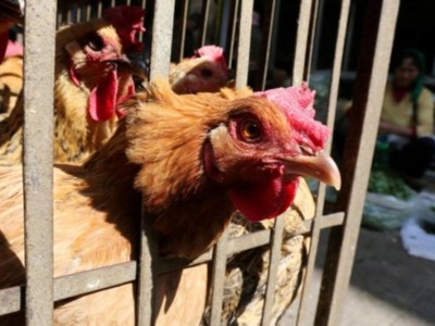 Ảnh minh họa: Reuters.