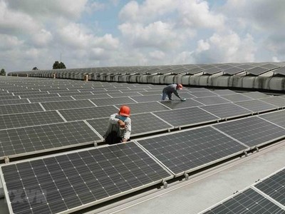 Ảnh minh họa. (Ảnh: TTXVN)