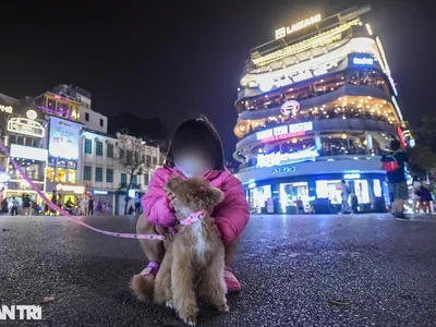 Kể từ ngày 27/5, người đến phố đi bộ Hồ Gươm không được mang theo vật nuôi (Ảnh: Tố Linh).