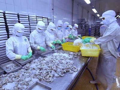 Nhiều cơ hội cho xuất khẩu mặt hàng Tôm sang thị trường Australia khi tận dụng tốt RCEP. (Ảnh: TTXVN)