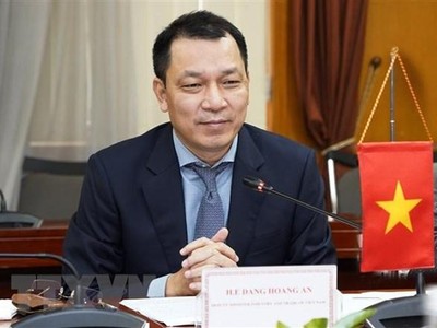 Thứ trưởng Bộ Công Thương Đặng Hoàng An. (Ảnh: Trần Việt/TTXVN).