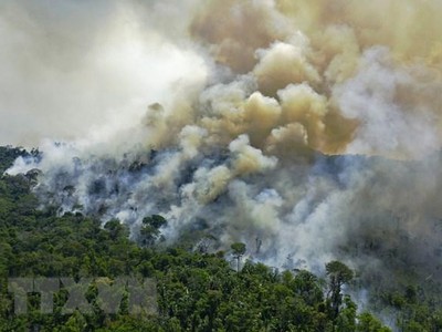 Khói bốc lên từ đám cháy rừng Amazon, Brazil. (Ảnh: AFP/TTXVN)
