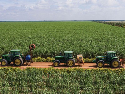 Ngành mía đường tiếp tục có triển vọng sáng, tập trung vào những doanh nghiệp tự chủ được vùng nguyên liệu.