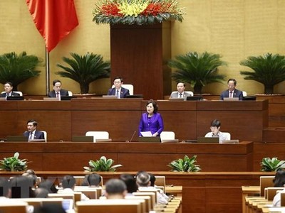 Thống đốc Ngân hàng Nhà nước Việt Nam Nguyễn Thị Hồng trả lời chất vấn. (Ảnh: Doãn Tấn/TTXVN).