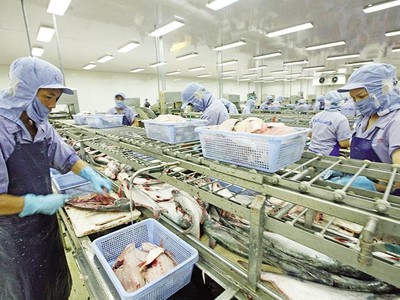 Thủy sản là ngành dính nhiều vụ kiện phòng vệ thương mại, nhưng các doanh nghiệp đã vượt qua. Ảnh: Đức Thanh.