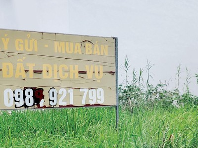 Trên thị trường hiện có nhiều tin rao bán bất động sản với giá rẻ, hoặc thông tin dự án na ná dự án của doanh nghiệp lớn.