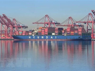 Quang cảnh cảng container Long Beach, Mỹ. (Ảnh: AFP/TTXVN)
