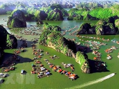 Ảnh minh họa (Nguồn: AFP/TTXVN)