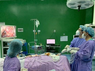 Nghỉ hưu ở tuổi cao hơn đối với viên chức không quá 5 năm (60 tháng). (Ảnh minh họa: TTXVN phát)