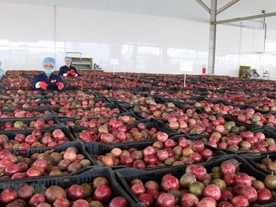 Ảnh minh họa. (Ảnh: Hoài Nam/TTXVN).