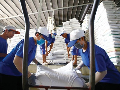 Xuất khẩu gạo của Việt Nam dự báo được hưởng lợi từ nguồn cung trên toàn cầu suy giảm mạnh.