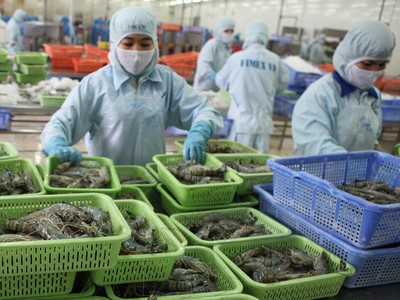 Tôm và cá tra là hai mặt hàng xuất khẩu chủ lực của Việt Nam.
