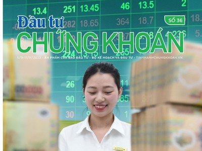 Đầu tư Chứng khoán số 36/2022