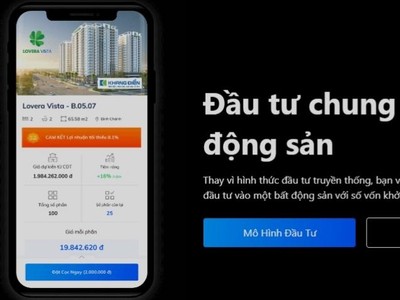Dấu hỏi với "mua chung bất động sản" trên Infina