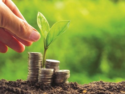 Thành lập Ban Chỉ đạo quốc gia về tăng trưởng xanh