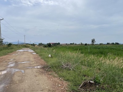 Khu vực dự án bị thu hồi sau 5 năm không triển khai đúng nội dung cam kết.