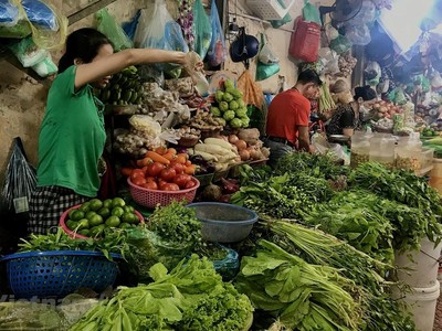 Giá rau xanh giảm khiến không chỉ người tiêu dùng mà tiểu thương tại các chợ cũng phấn khởi. (Ảnh: Việt Anh/Vietnam+)