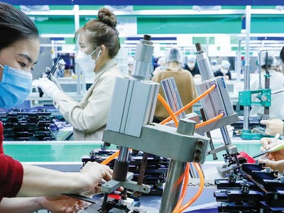 Các doanh nghiệp xuất khẩu đang nỗ lực đa dạng thị trường cũng như đa dạng nhà cung cấp nguyên liệu.