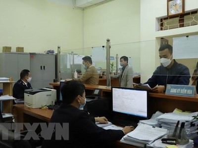 Thu thuế từ hoạt động xuất, nhập khẩu. (Ảnh minh họa: Tiến Khánh/TTXVN)