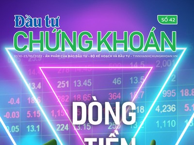 Đầu tư Chứng khoán số 42/2022