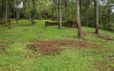 Lâm Đồng: Hàng trăm dự án thực hiện trên đất lâm nghiệp bị thu hồi