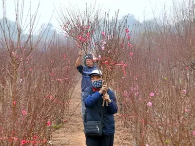 Người dân sẽ được nghỉ Tết Dương lịch 3023 liên tục 3 ngày.
