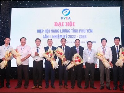 Hiệp hội năng lượng tỉnh Phú Yên được thành lập với 7 thành viên.