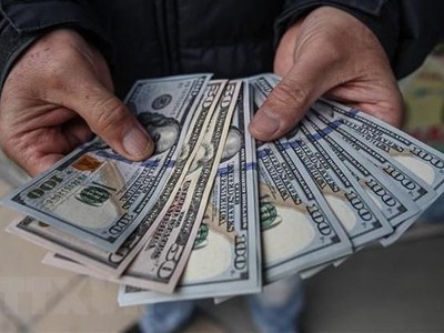 Đồng USD. (Ảnh: AFP/TTXVN)