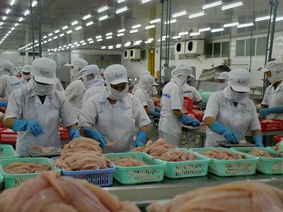 Chế biến thủy sản xuất khẩu ở Đồng bằng sông Cửu Long.