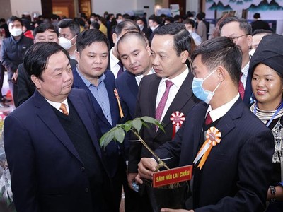 Bộ trưởng Lê Minh Hoan thăm gian trưng bày Sâm Lai Châu tại Hội nghị Xúc tiến Đầu tư lĩnh vực nông nghiệp tỉnh Lai Châu năm 2021.