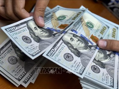 Đồng USD. Ảnh minh họa: AFP/TTXVN