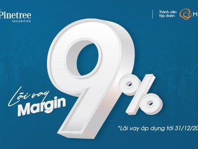 Phản ứng nhà đầu tư trái ngược khi Pinetree vẫn giữ lãi margin thấp 9%