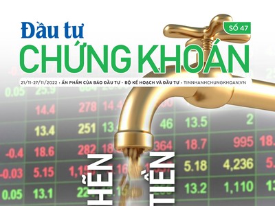 Đầu tư Chứng khoán số 47/2022