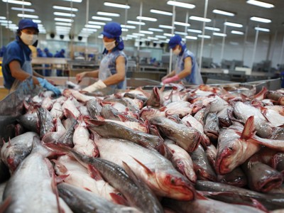 Xuất khẩu cá tra tháng 10 rơi xuống mức thấp nhất trong năm.