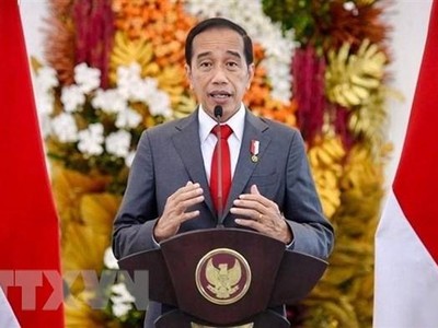 Tổng thống Indonesia Joko Widodo. (Ảnh: AFP/TTXVN).