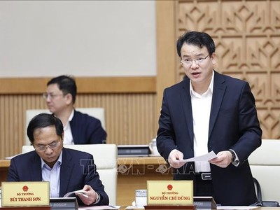 Thứ trưởng Bộ Kế hoạch và Đầu tư Trần Quốc Phương trình bày báo cáo tại phiên họp Chính phủ thường kỳ tháng 11/2022. (Ảnh: TTXVN)